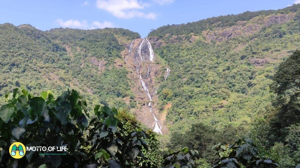 Dudhsagar Waterfalls in Goa- budget trip plan in goa